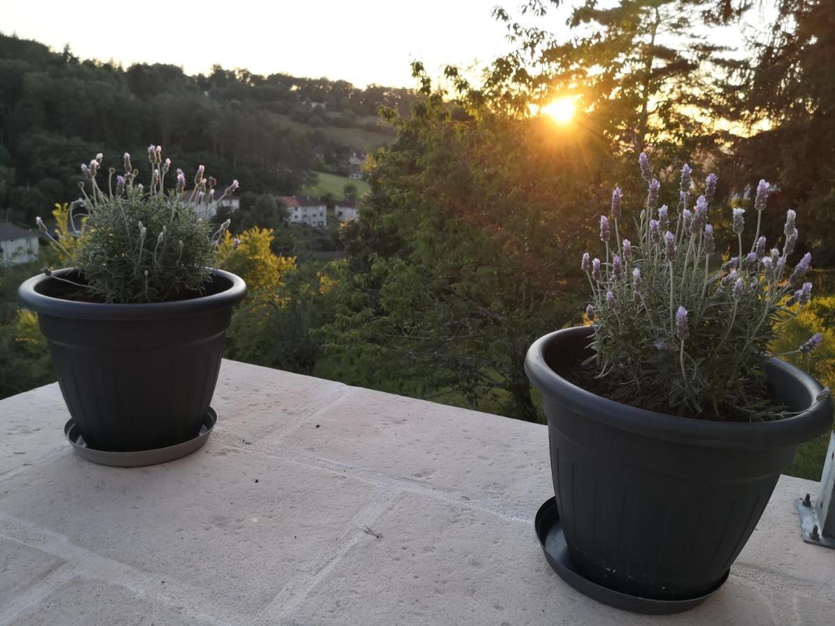 Chambre meublée avec vue panoramique à Périgueux Sanilhac (Dordogne) Exterior foto